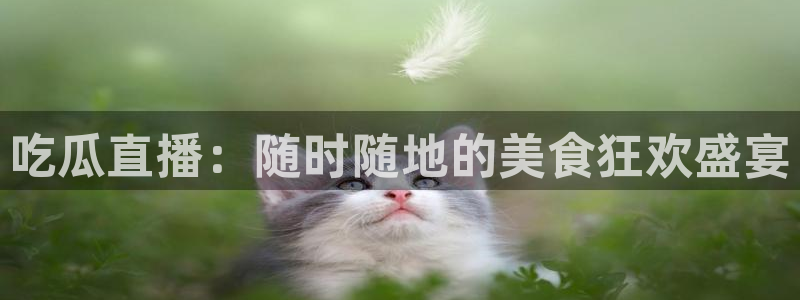 吃瓜网是全网更新最快
