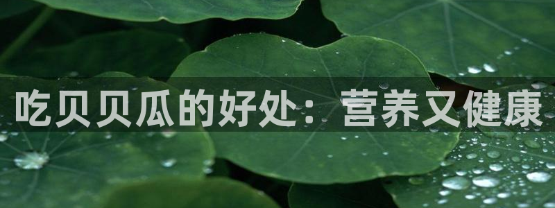 51吃瓜网51今日大大瓜：吃贝贝瓜的好处：营养又健康