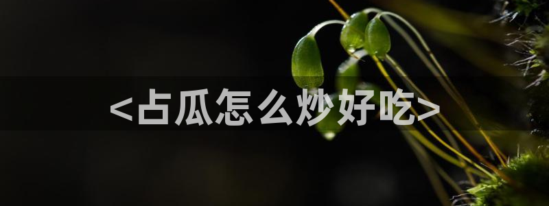 51今日吃瓜热门大瓜入口