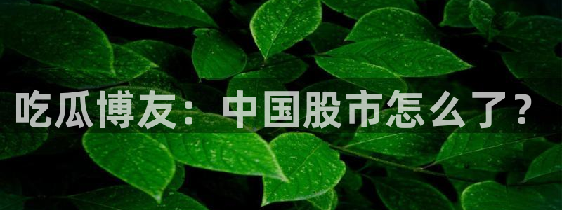 51吃瓜网 张津瑜：吃瓜博友：中国股市怎么了？