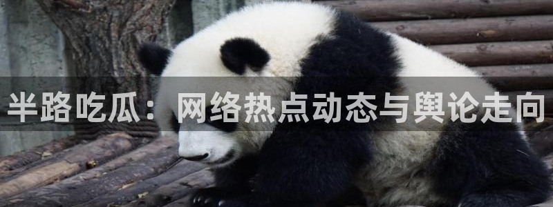 51.cgfun吃瓜：半路吃瓜：网络热点动态与舆论走向