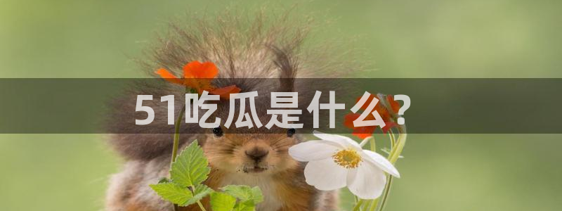 51吃瓜.world张津瑜