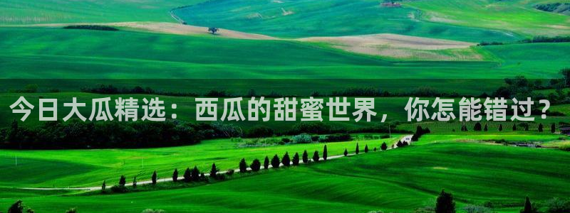 黑料：今日大瓜精选：西瓜的甜蜜世界，你怎能错过？