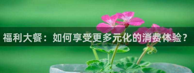 51cg每日吃瓜：福利大餐：如何享受更多元化的消费体验？