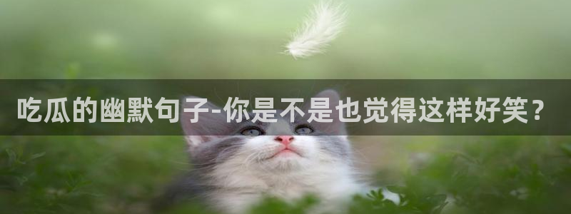 吃瓜下载：吃瓜的幽默句子-你是不是也觉得这样好笑？