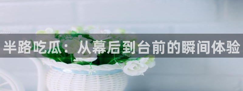 吃瓜发现我家皆大佬：半路吃瓜：从幕后到台前的瞬间体验