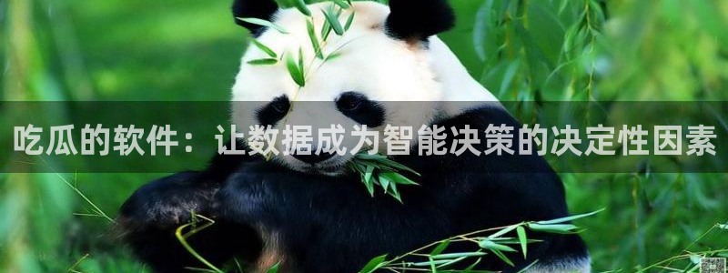 废太子在七零吃瓜看戏：吃瓜的软件：让数据成为智能决策的决定性因素