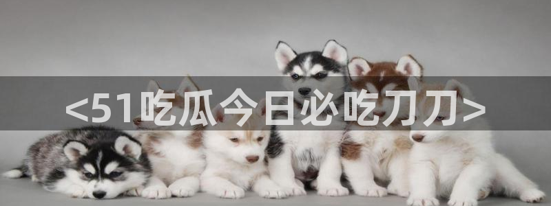 废太子在七零吃瓜看戏：<51吃瓜今日必吃刀刀>