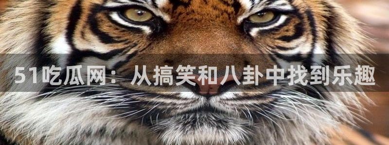 51吃瓜最新官网是多少：51吃瓜网：从搞笑和八卦中找到乐趣