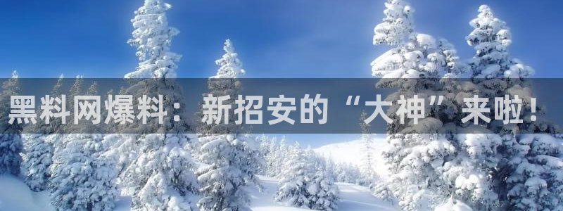51吃瓜张津瑜：黑料网爆料：新招安的“大神”来啦！