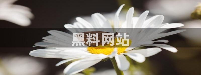 51吃瓜 张津瑜 网：黑料网站