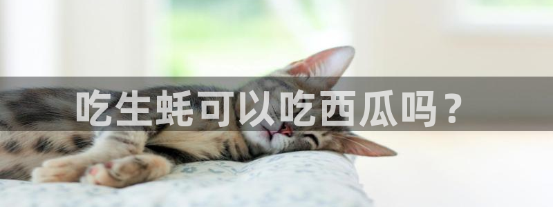 51吃瓜备用线路：吃生蚝可以吃西瓜吗？