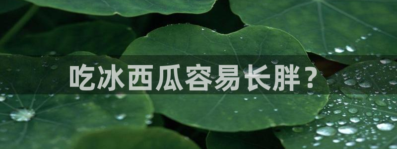 黑料,：吃冰西瓜容易长胖？