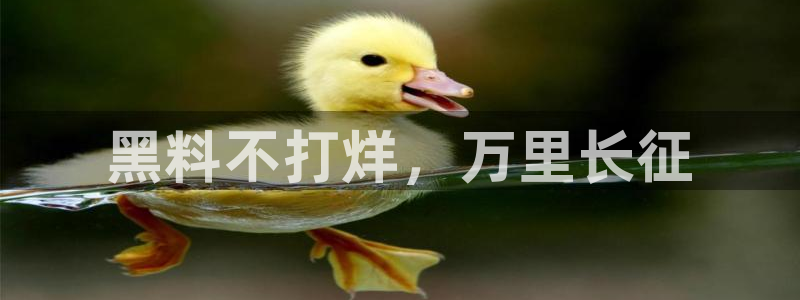www.黑料.com：黑料不打烊，万里长征