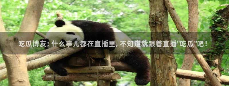 吃瓜新闻：吃瓜博友: 什么事儿都在直播里, 不知道就跟着直播\