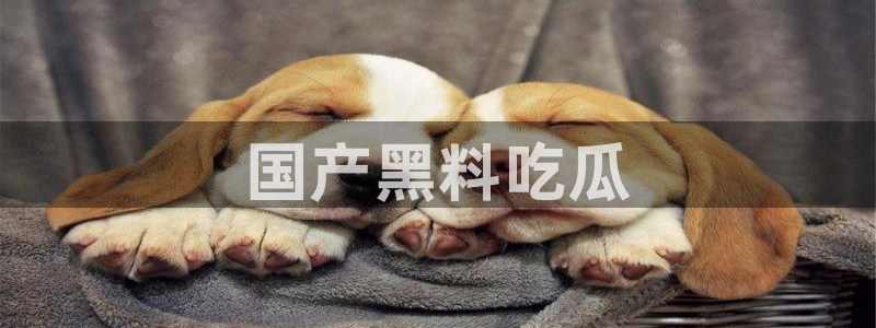 51吃瓜最新官网是多少：国产黑料吃瓜