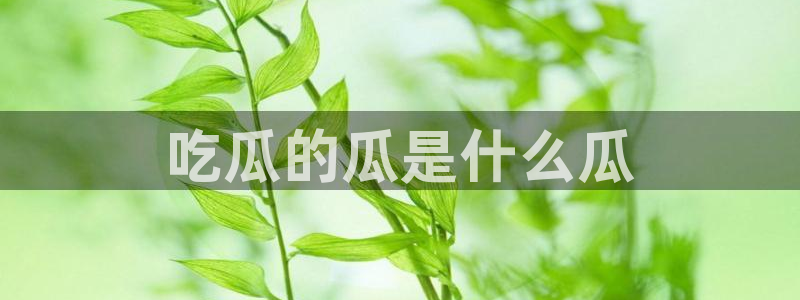 nanataipei51吃瓜：吃瓜的瓜是什么瓜