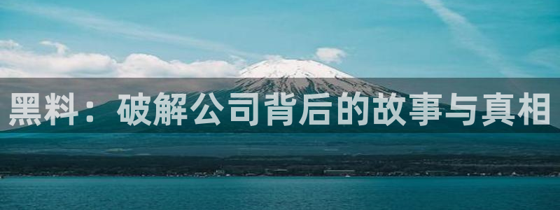 58吃瓜今日吃瓜入口：黑料：破解公司背后的故事与真相