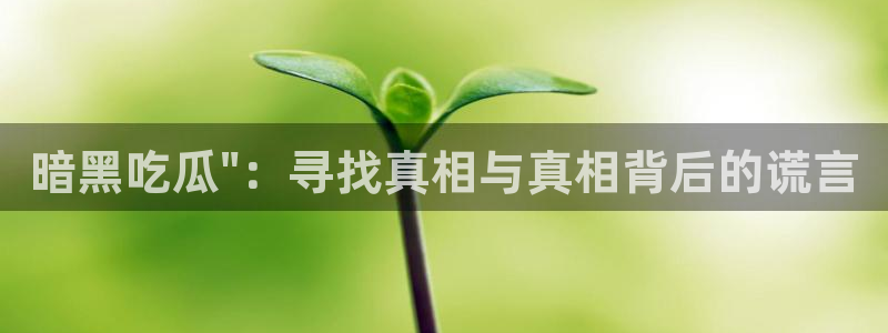 各种网红爆料吃瓜：暗黑吃瓜\