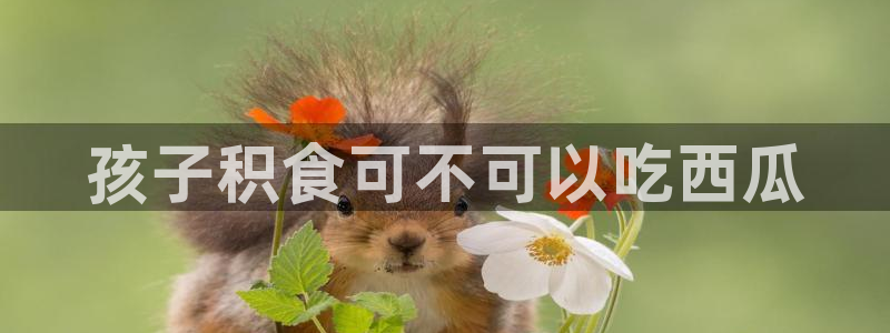 吃瓜下载：孩子积食可不可以吃西瓜