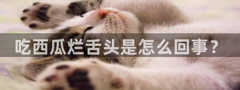 51热门大瓜今日吃瓜：吃西瓜烂舌头是怎么回事？