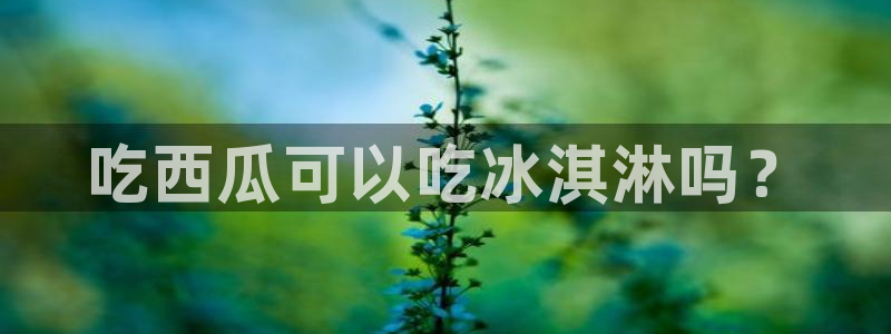 nanataipei吃瓜：吃西瓜可以吃冰淇淋吗？