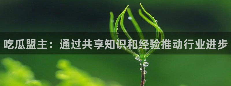 24小时吃瓜不间断：吃瓜盟主：通过共享知识和经验推动行业进步