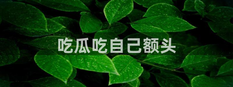 吃瓜下载：吃瓜吃自己额头