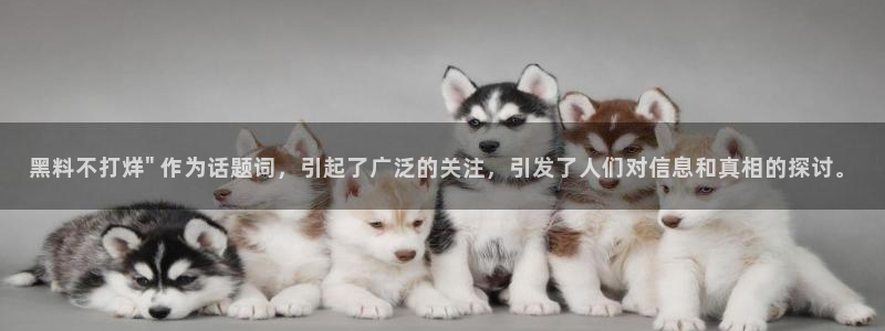 吃瓜网 今日吃瓜 热门大瓜：黑料不打烊\