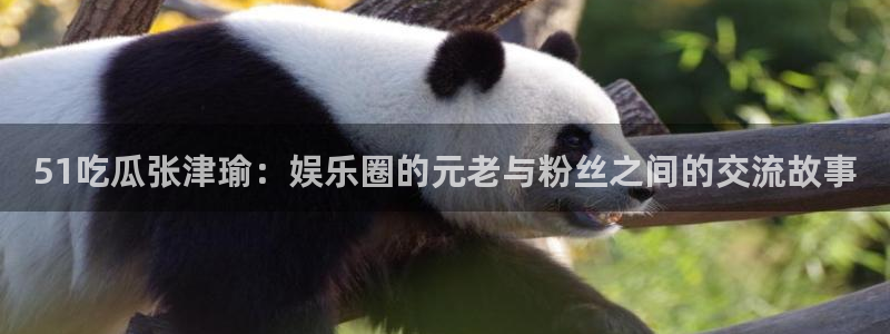 www.吃瓜.com：51吃瓜张津瑜：娱乐圈的元老与粉丝之间的交流故事