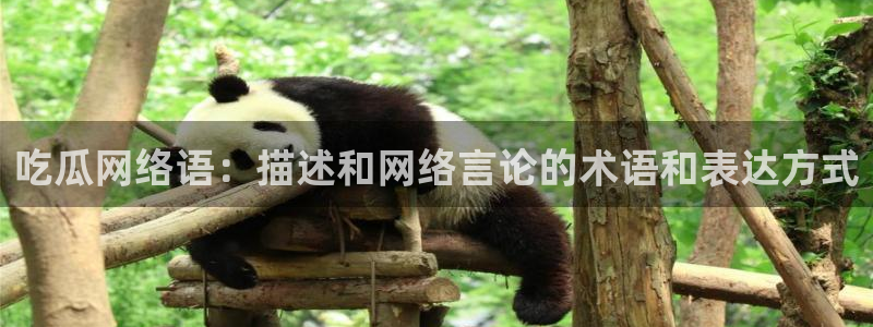 吃瓜吃到自己头上：吃瓜网络语：描述和网络言论的术语和表达方式