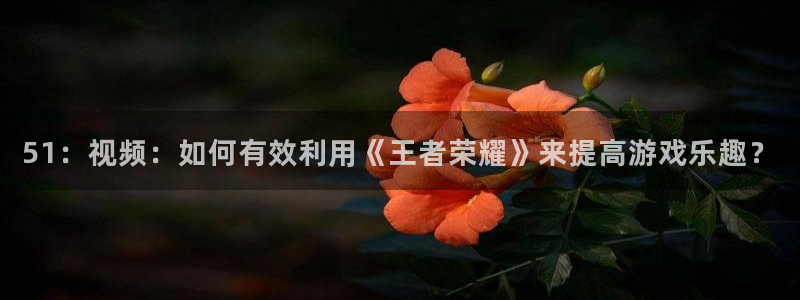黑料下载