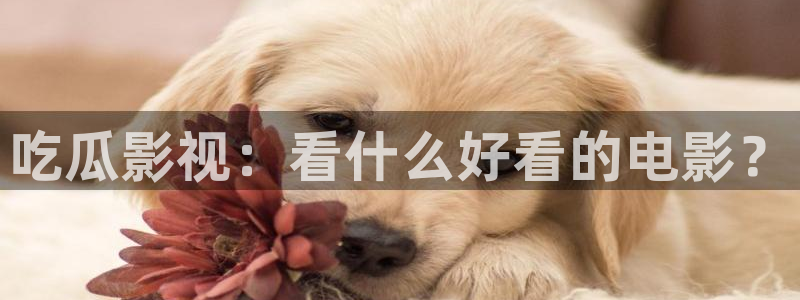 51吃瓜网热门黑料