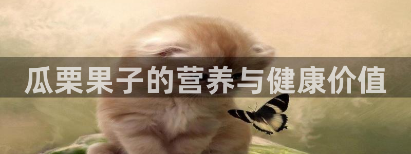 吃瓜是什么意思：瓜栗果子的营养与健康价值