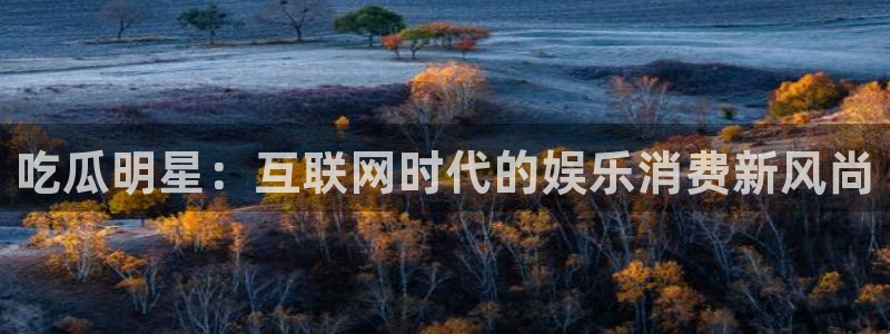 吃瓜事件：吃瓜明星：互联网时代的娱乐消费新风尚